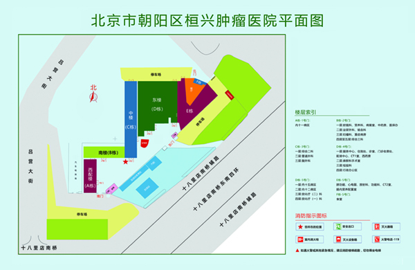 “曰鸡巴网站”北京市朝阳区桓兴肿瘤医院平面图